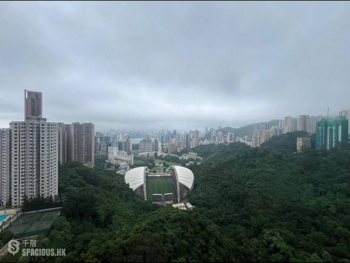 Happy Valley - Broadwood Park 01