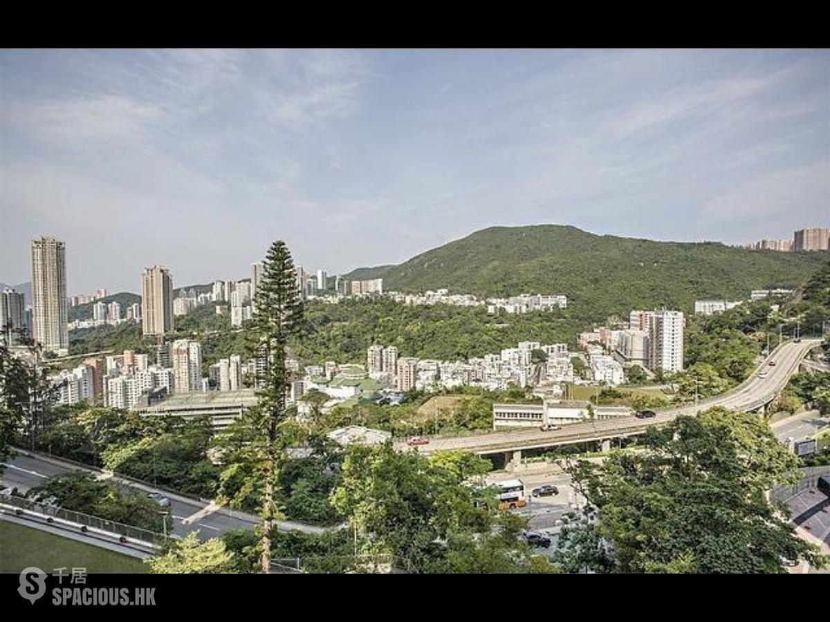 司徒拔道 - 碧蕙園 01