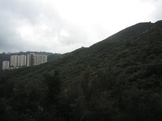 愉景灣 - 愉景灣1期 明翠台 明蔚徑1號 05