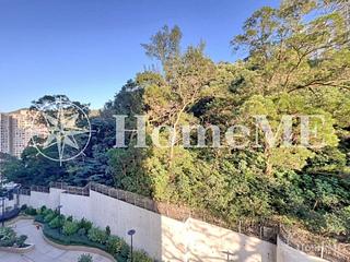 Tai Hang - Flora Garden 07
