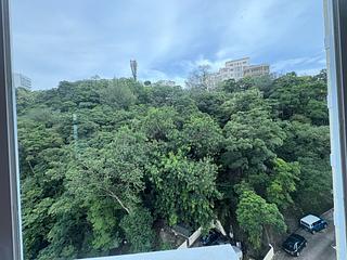 山頂 - 馬己仙峽道26號 13