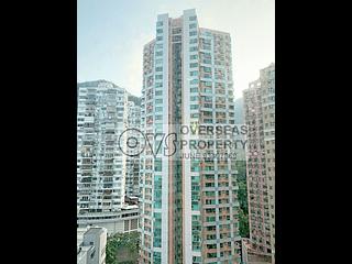 Wan Chai - 1, Star Street 10