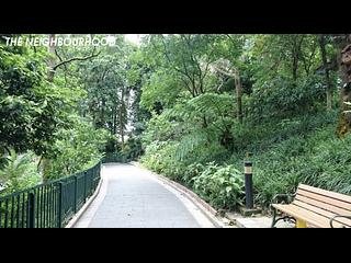 中环 - 树福大厦 22