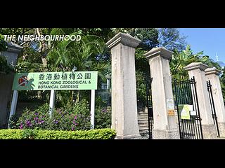 中环 - 树福大厦 24