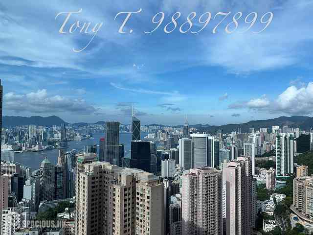 中半山 - 帝景園5座 01