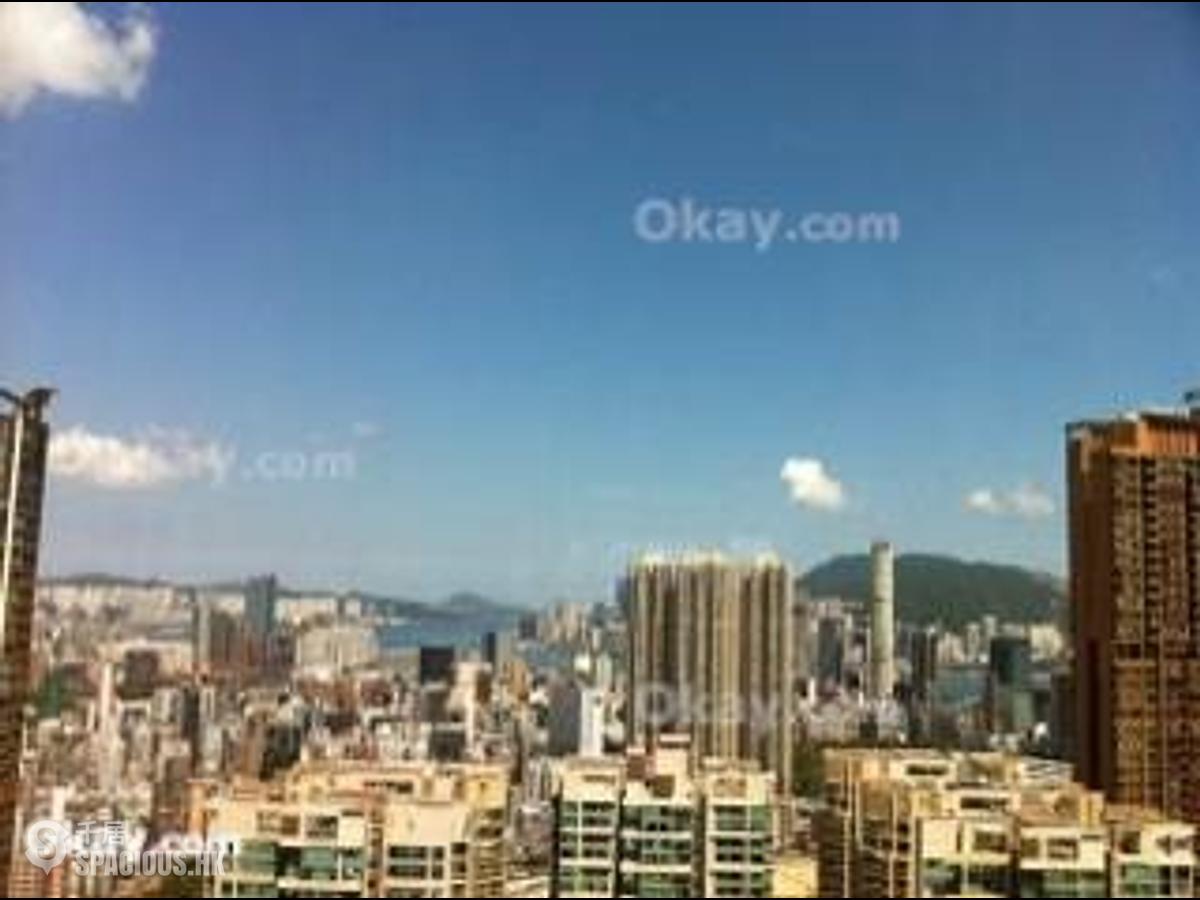 西九龙 - 天玺 (21座5区 星钻玺) 01