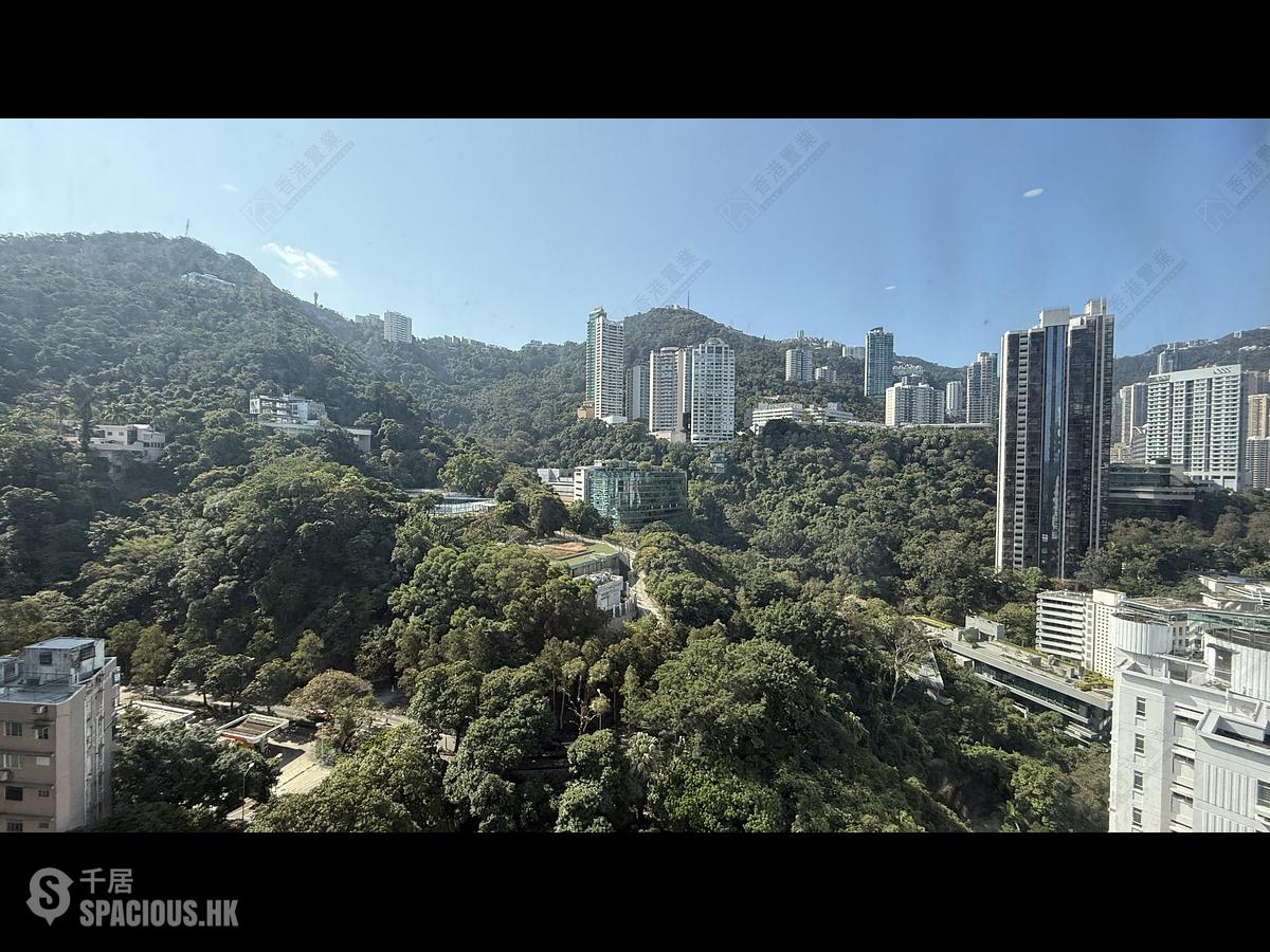Wan Chai - Star Crest Block 1 01