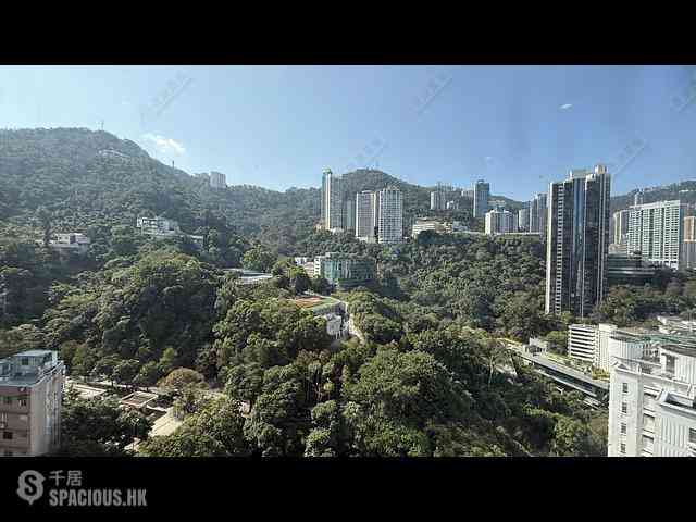 Wan Chai - Star Crest Block 1 01