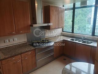 Mid Levels Central - Fairlane Tower 05