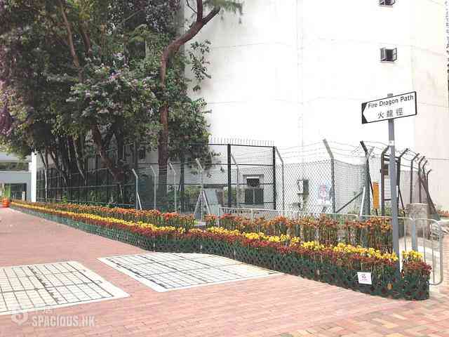 Tai Hang - Ming Sun Building 02