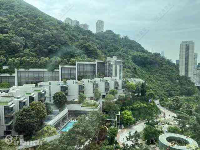 司徒拔道 - 东山台11号 01