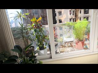 西营盘 - 宁养台B座 05