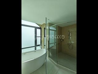 Stanley - Villa Rosa 08