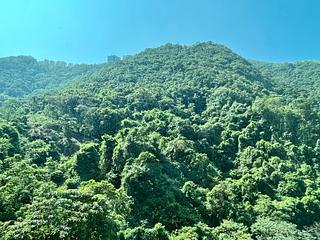 中半山 - 曉峰閣3座 06