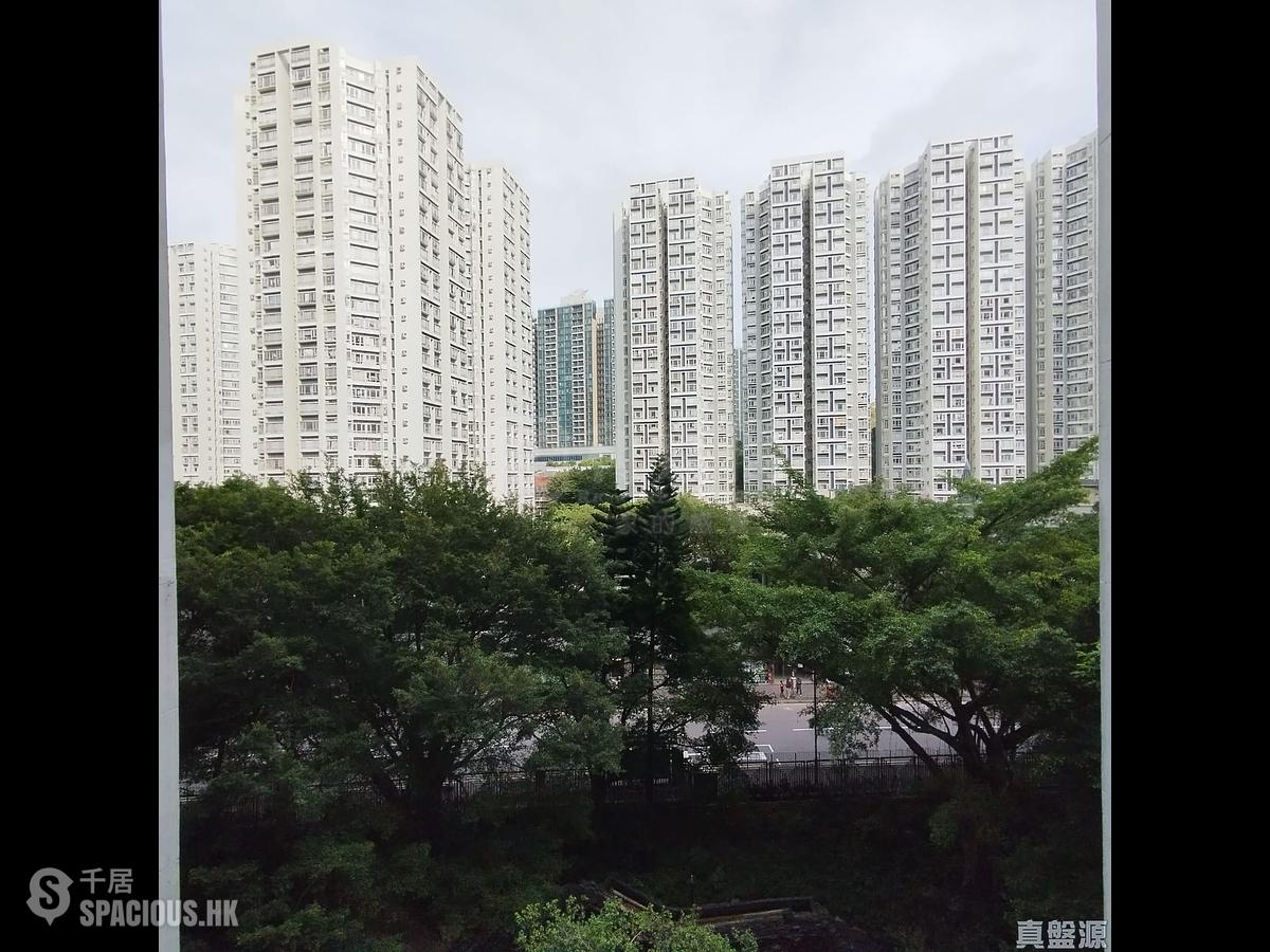 茶果岭 - 丽港城 01