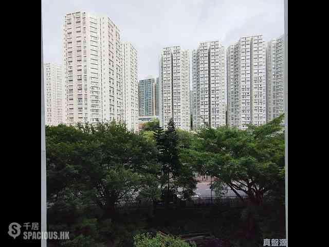 茶果嶺 - 麗港城 01