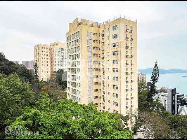 薄扶林 - 明德村 16
