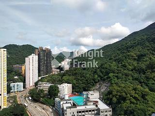 Shau Kei Wan - Lime Gala 02