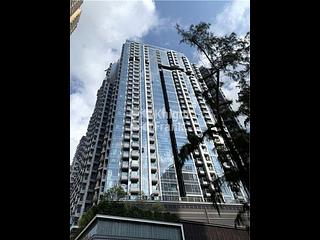 Shau Kei Wan - Lime Gala 17