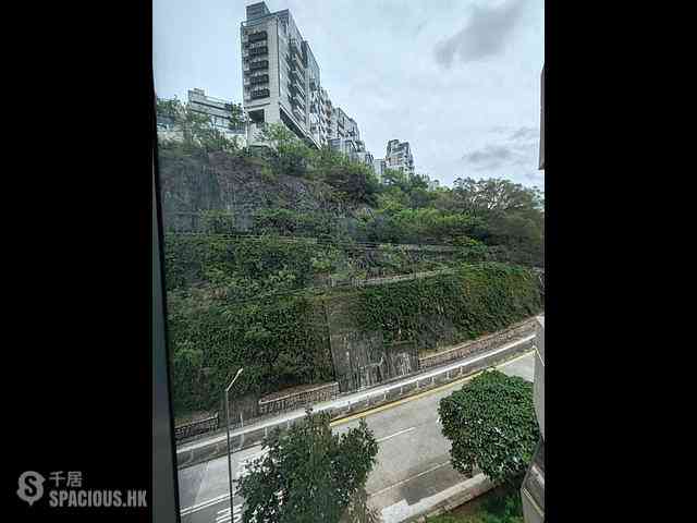 Sha Tin - The Cavaridge 15