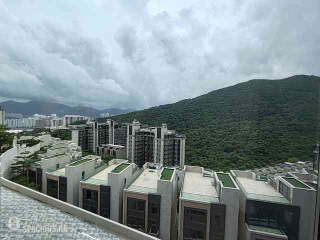 Sha Tin - The Cavaridge 19