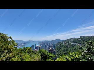 The Peak - The Mount Austin 11