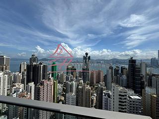 Sai Ying Pun - The Summa 06