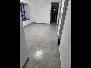 Noho - Hollywood Terrace 04
