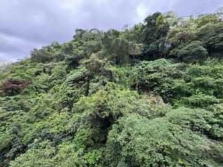 Mid Levels East - Man Yuen Garden 12