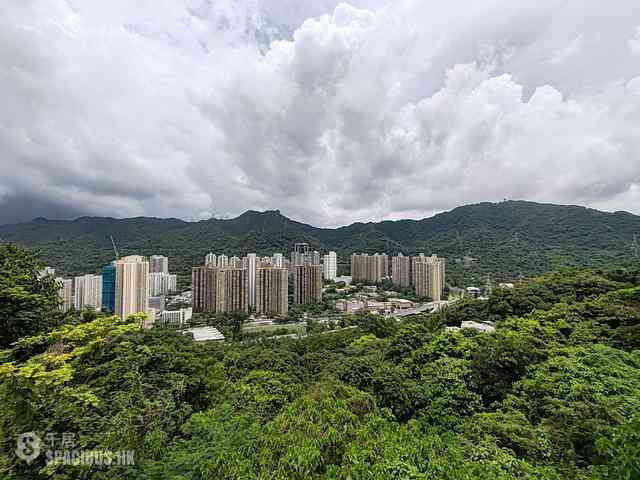 Tai Wai - Happy View House 09