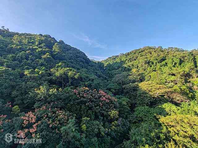 Tai Wai - Peak One 03