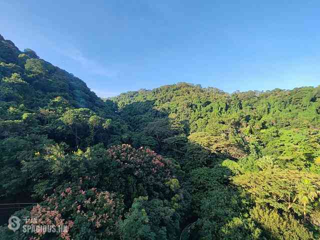Tai Wai - Peak One 09