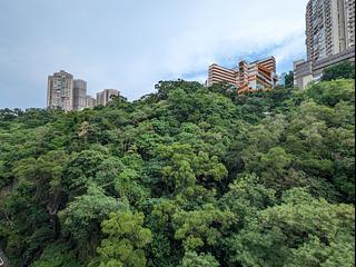 North Point - Lime Habitat 05