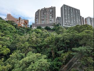 North Point - Lime Habitat 06