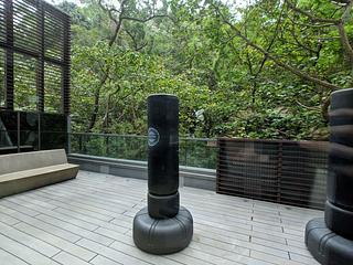 North Point - Lime Habitat 17