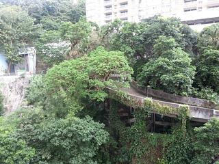 中半山 - 柏齡大廈 07