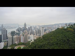 東半山 - Bowen's Lookout 03