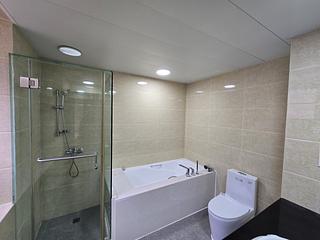 Mid Levels Central - Tregunter Tower 3 04