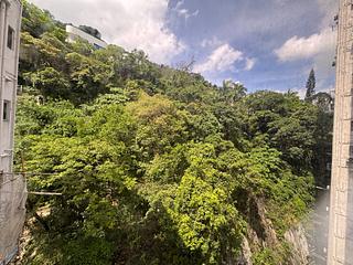 東半山 - 文苑花園大廈 13