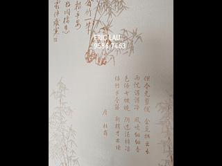 西九龍 - 擎天半島2期1座 12