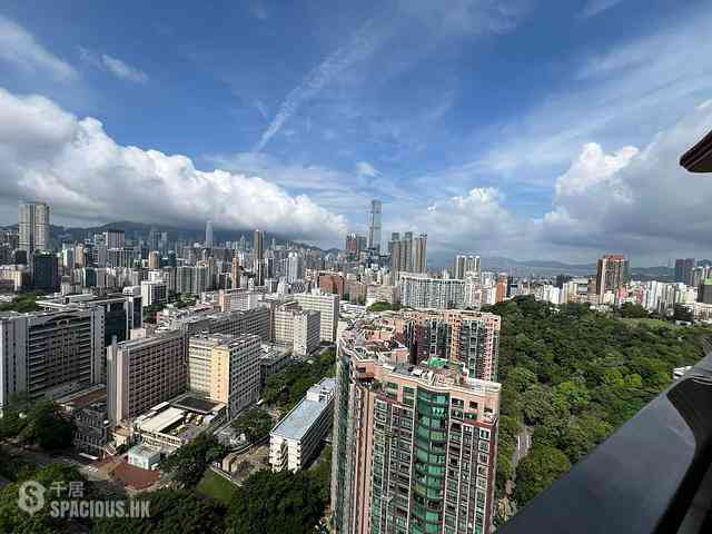 Yau Ma Tei - Parc Palais Block 9 08