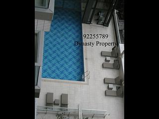 Sai Ying Pun - The Summa 08