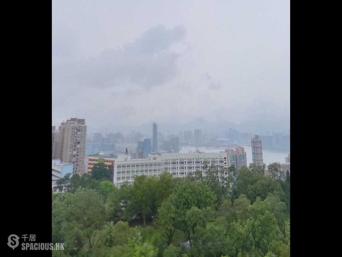 寶馬山 - 賽西湖大廈 01