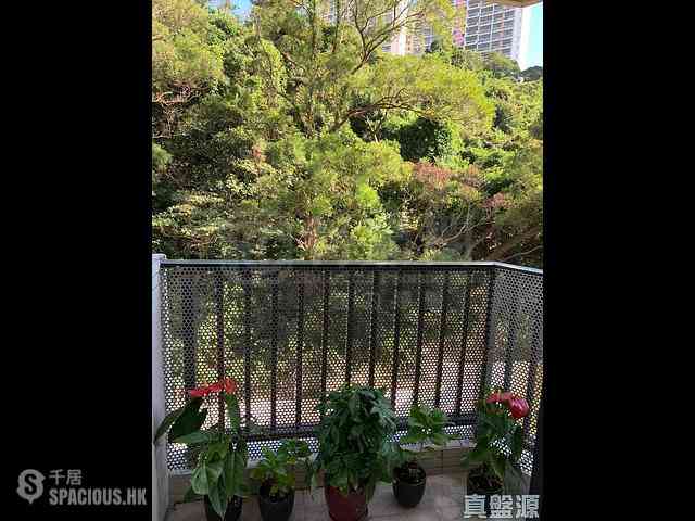 Tai Hang - Flora Garden 01