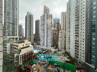 Sai Ying Pun - Macro Garden 12