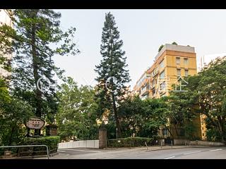 Mid Levels West - Woodland Gardens 14
