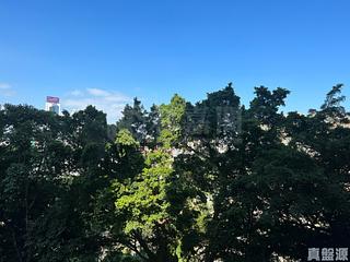 司徒拔道 - 肇豐園 07