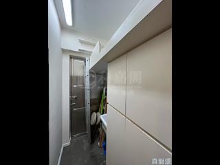 司徒拔道 - 肇豐園 11