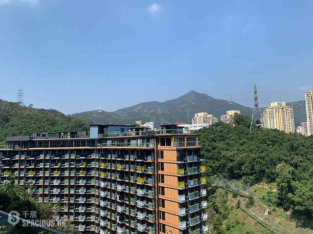 Tai Wai - Godi XI 24