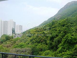 薄扶林 - 玫瑰邨 03
